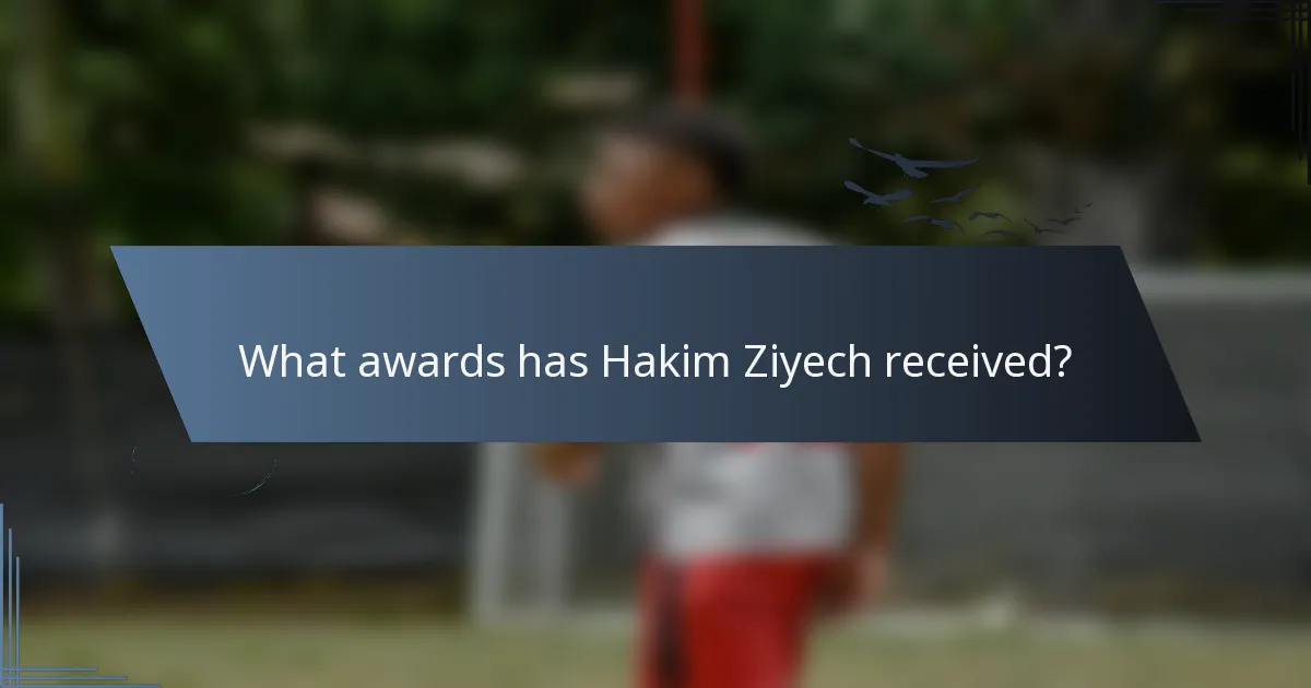 What awards has Hakim Ziyech received?